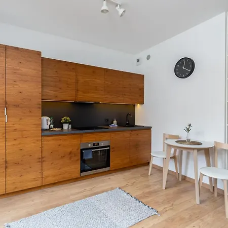 Apartment Cracow Novum #58